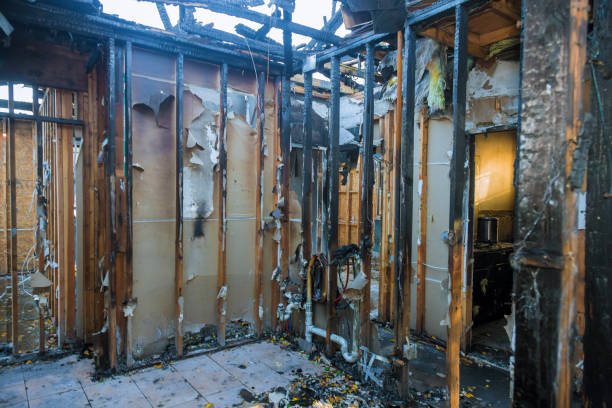 Professional Fire Damage Removal technician working in Flippin, AR